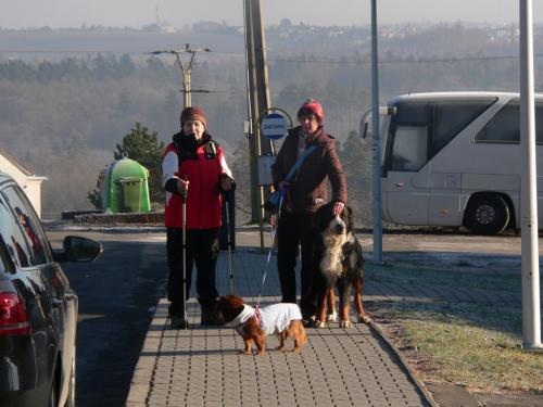 Novoroční pochod 30.12.2016