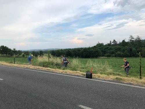 Alej - sečení trávy 19.6.2019