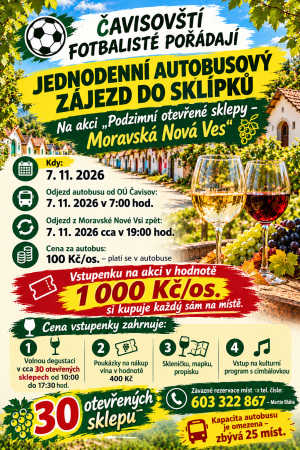 Zájezd do vinných sklepů